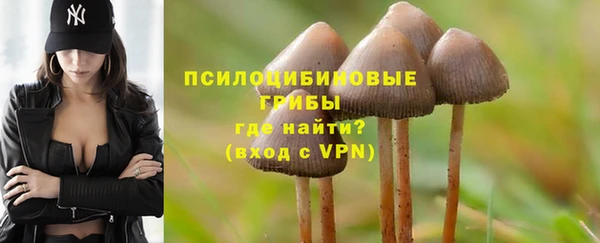 дурь Белоозёрский