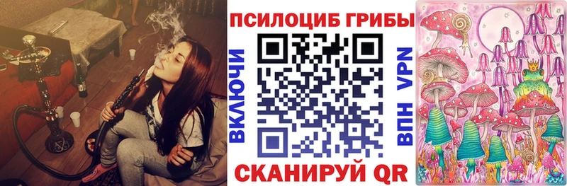 Псилоцибиновые грибы Psilocybe Гусев