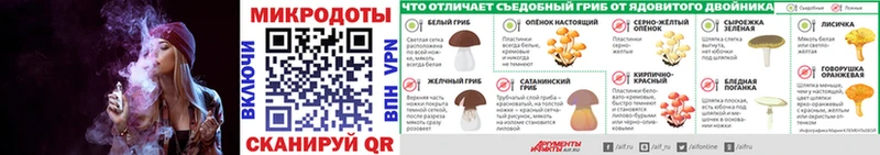 Псилоцибиновые грибы мицелий  купить наркоту  Гусев 